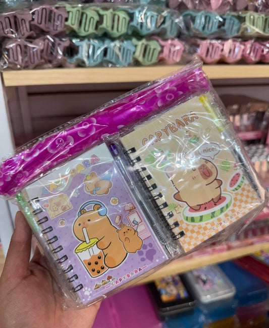Libretas con pluma