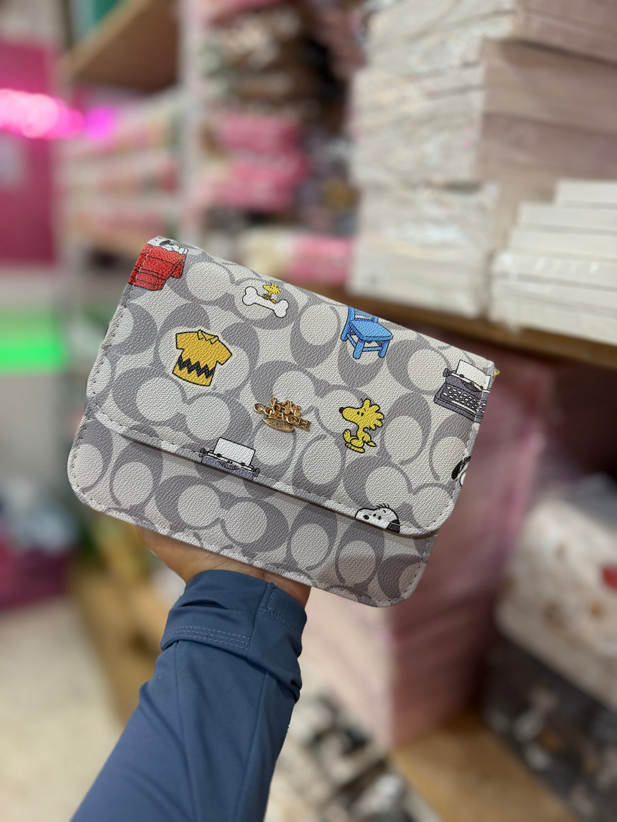 Bolsas tipo coach