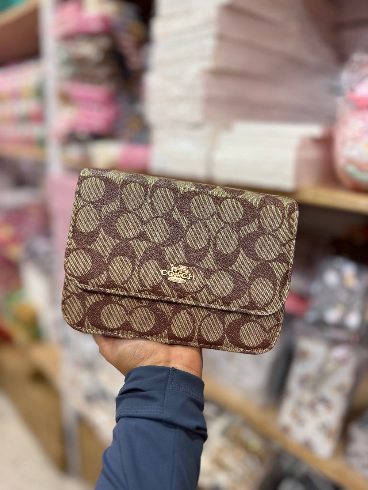 Bolsas tipo coach