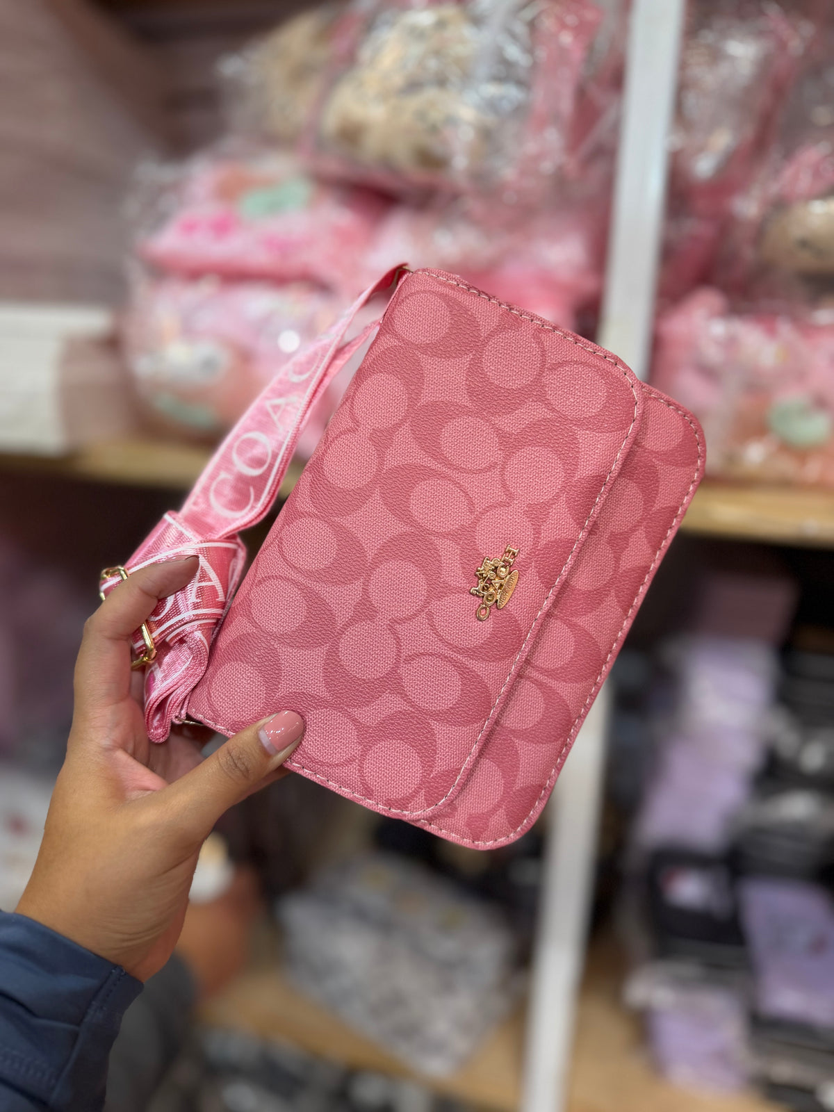 Bolsas tipo coach
