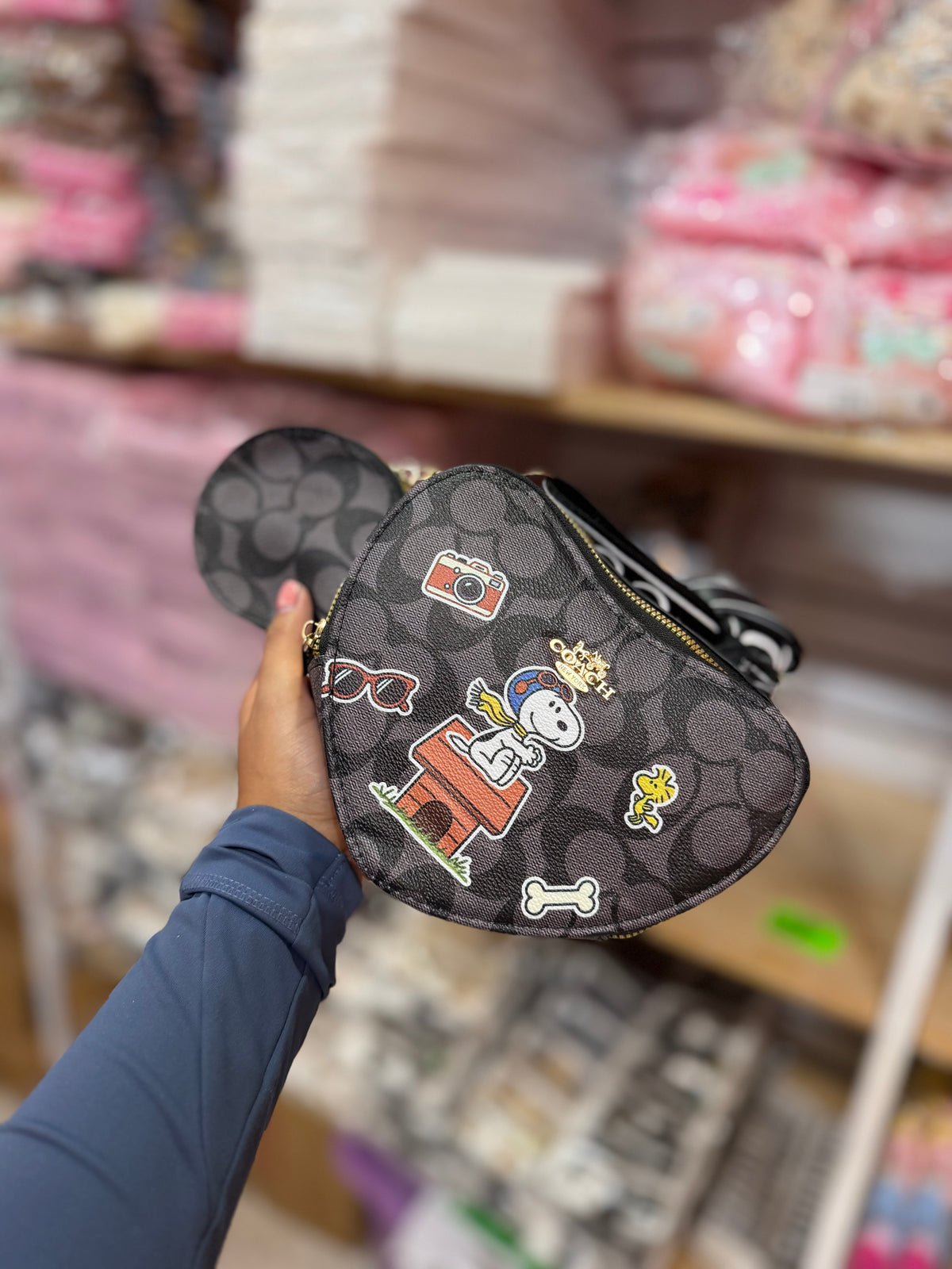 Bolsas tipo coach