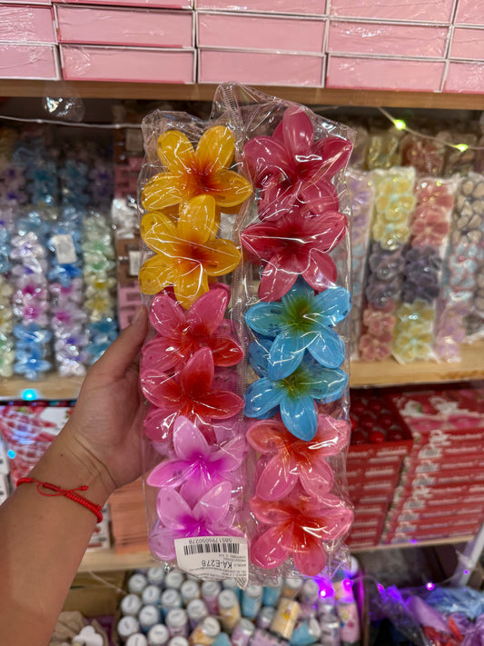 Pinza hawaiana colores